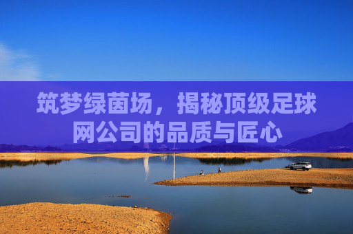筑梦绿茵场，揭秘顶级足球网公司的品质与匠心