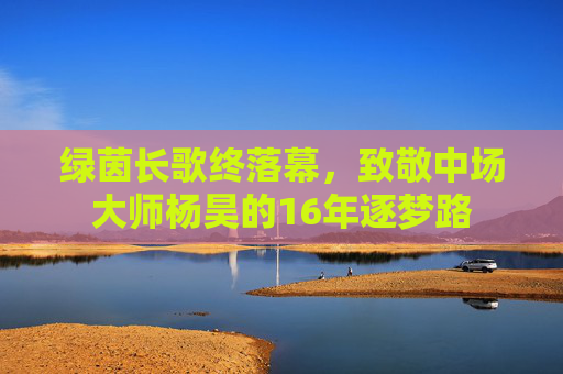 绿茵长歌终落幕，致敬中场大师杨昊的16年逐梦路