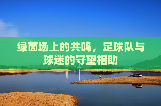 绿茵场上的共鸣,足球队与球迷的守望相助