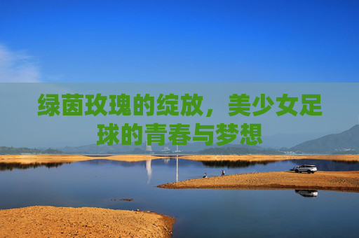 绿茵玫瑰的绽放，美少女足球的青春与梦想