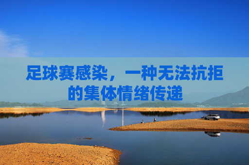 足球赛感染,一种无法抗拒的集体情绪传递