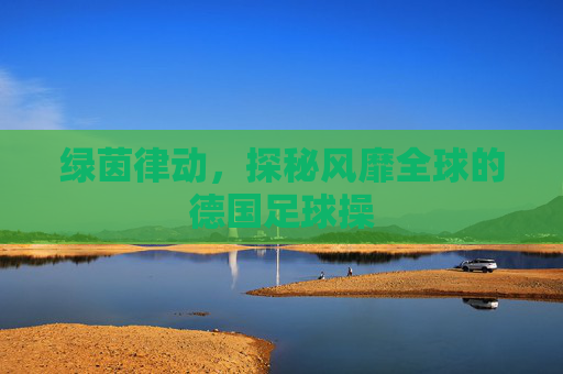 绿茵律动,探秘风靡全球的德国足球操