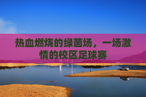 热血燃烧的绿茵场,一场激情的校区足球赛