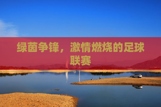 绿茵争锋,激情燃烧的足球联赛