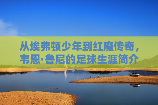 从埃弗顿少年到红魔传奇,韦恩·鲁尼的足球生涯简介