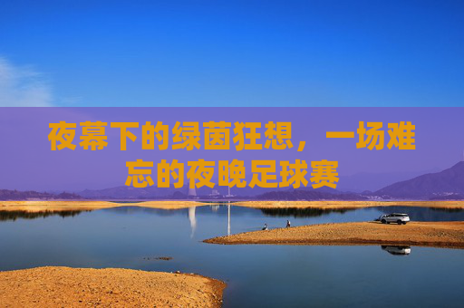 夜幕下的绿茵狂想,一场难忘的夜晚足球赛