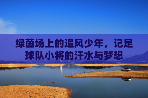 绿茵场上的追风少年,记足球队小将的汗水与梦想
