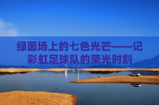 绿茵场上的七色光芒——记彩虹足球队的荣光时刻