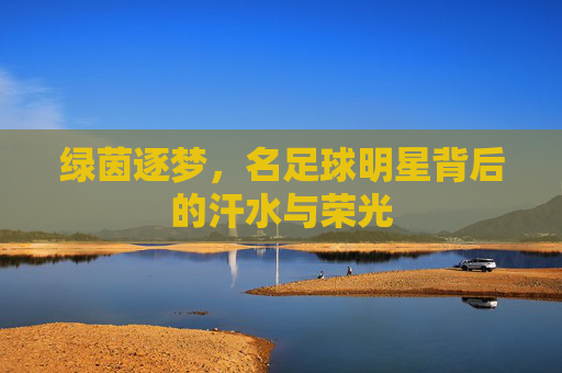 绿茵逐梦,名足球明星背后的汗水与荣光