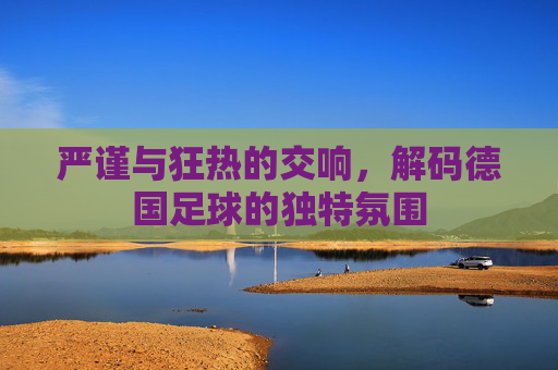 严谨与狂热的交响,解码德国足球的独特氛围