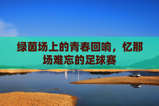 绿茵场上的青春回响,忆那场难忘的足球赛