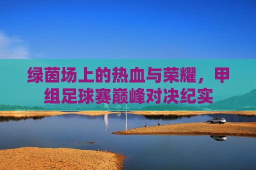 绿茵场上的热血与荣耀,甲组足球赛巅峰对决纪实