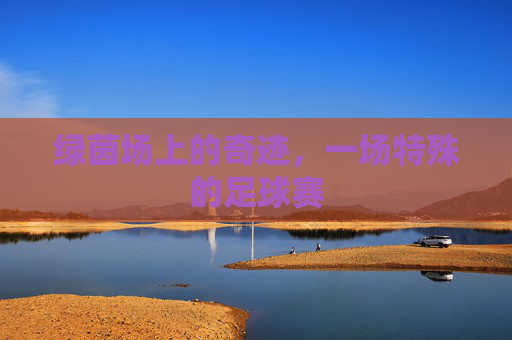 绿茵场上的奇迹,一场特殊的足球赛