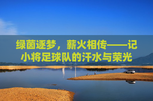 绿茵逐梦,薪火相传——记小将足球队的汗水与荣光