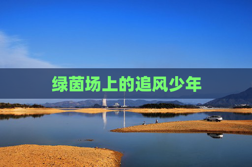 绿茵场上的追风少年