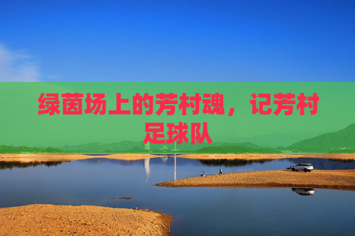 绿茵场上的芳村魂，记芳村足球队