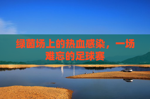 绿茵场上的热血感染,一场难忘的足球赛
