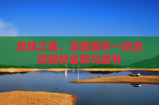 足球之美,深度解析一场足球赛的全貌与细节