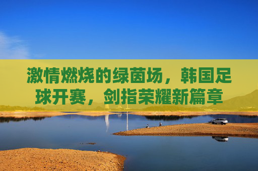 激情燃烧的绿茵场,韩国足球开赛,剑指荣耀新篇章