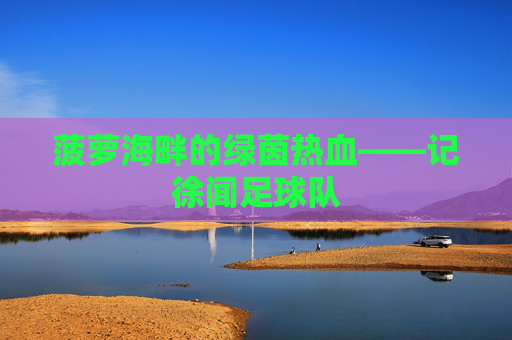 菠萝海畔的绿茵热血——记徐闻足球队