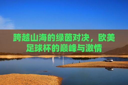 跨越山海的绿茵对决,欧美足球杯的巅峰与激情