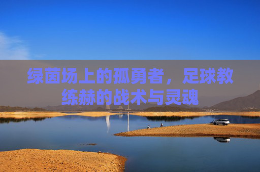 绿茵场上的孤勇者,足球教练赫的战术与灵魂
