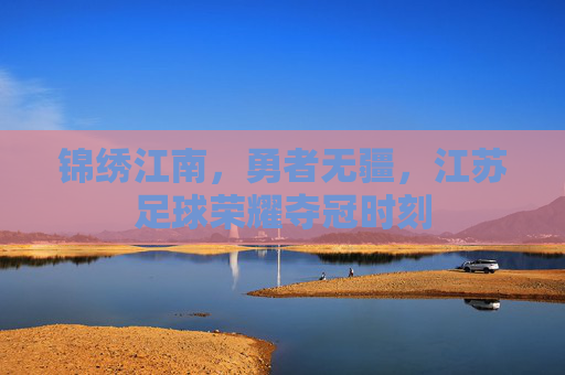 锦绣江南,勇者无疆,江苏足球荣耀夺冠时刻