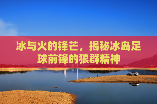 冰与火的锋芒,揭秘冰岛足球前锋的狼群精神