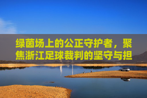 绿茵场上的公正守护者,聚焦浙江足球裁判的坚守与担当