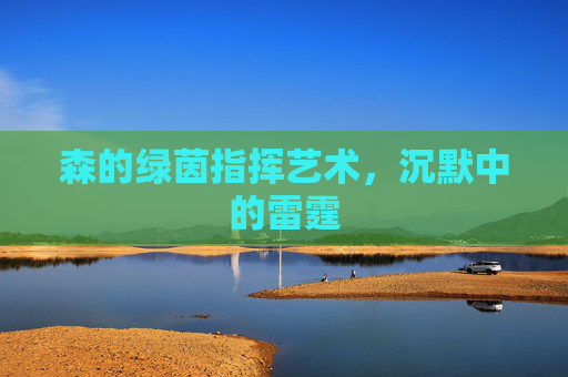 森的绿茵指挥艺术，沉默中的雷霆