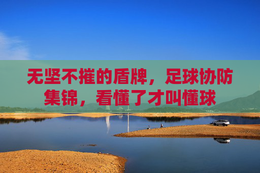 无坚不摧的盾牌，足球协防集锦，看懂了才叫懂球