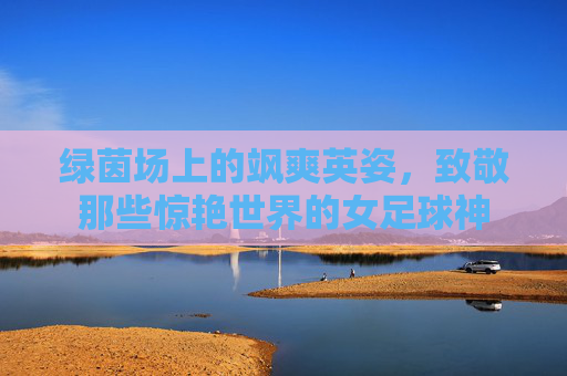 绿茵场上的飒爽英姿,致敬那些惊艳世界的女足球神