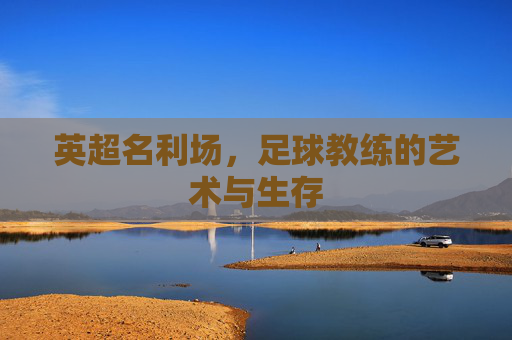 英超名利场,足球教练的艺术与生存
