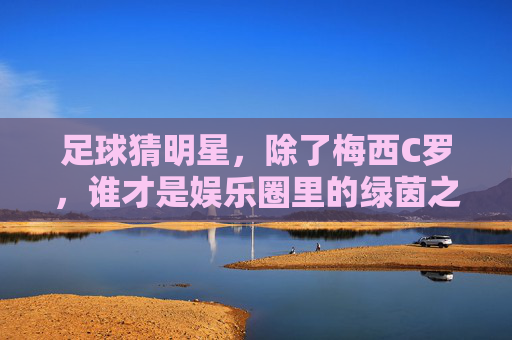 足球猜明星,除了梅西C罗,谁才是娱乐圈里的绿茵之王?