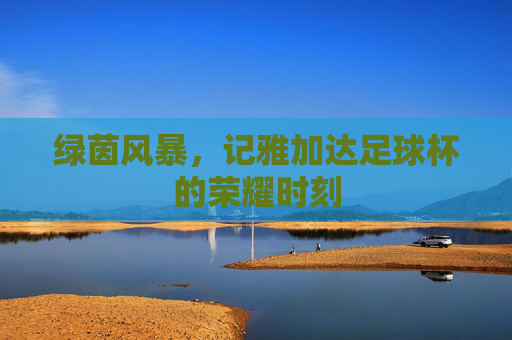 绿茵风暴,记雅加达足球杯的荣耀时刻