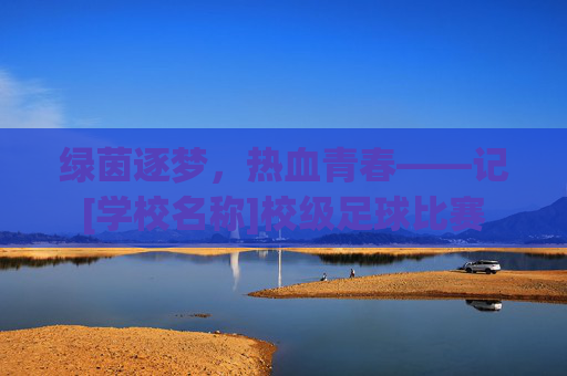 绿茵逐梦，热血青春——记[学校名称]校级足球比赛