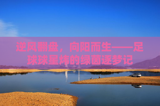 逆风翻盘,向阳而生——足球球星炜的绿茵逐梦记