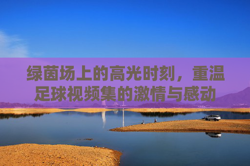 绿茵场上的高光时刻，重温足球视频集的激情与感动