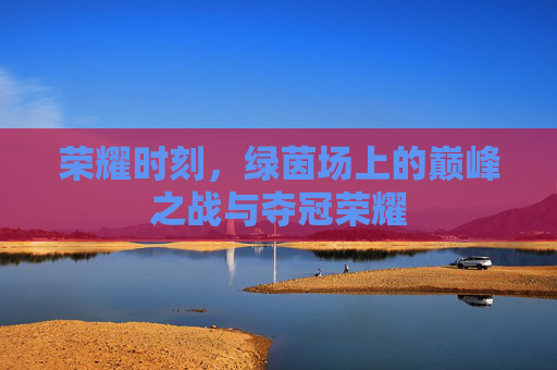 荣耀时刻,绿茵场上的巅峰之战与夺冠荣耀