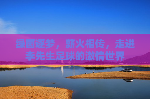 绿茵逐梦，薪火相传，走进李先生足球的激情世界