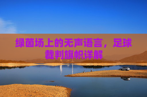 绿茵场上的无声语言，足球裁判旗帜详解