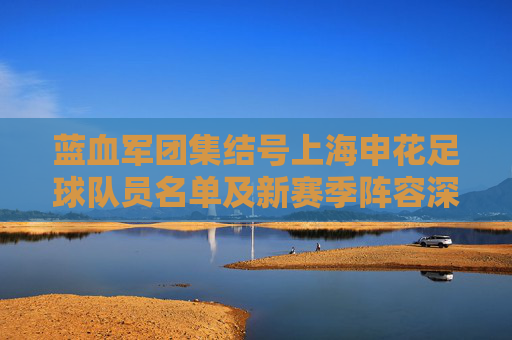 蓝血军团集结号上海申花足球队员名单及新赛季阵容深度解析