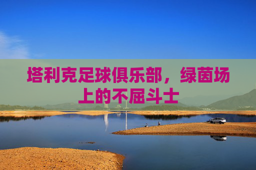 塔利克足球俱乐部,绿茵场上的不屈斗士