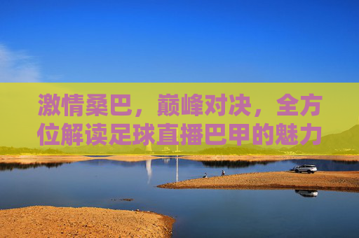 激情桑巴,巅峰对决,全方位解读足球直播巴甲的魅力