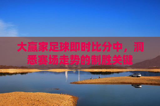 大赢家足球即时比分中,洞悉赛场走势的制胜关键