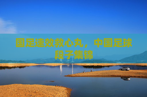 国足速效救心丸,中国足球段子集锦