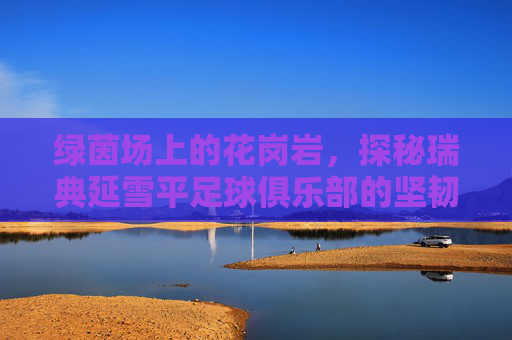 绿茵场上的花岗岩,探秘瑞典延雪平足球俱乐部的坚韧之路