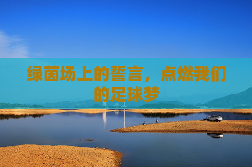 绿茵场上的誓言，点燃我们的足球梦