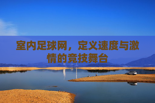 室内足球网,定义速度与激情的竞技舞台