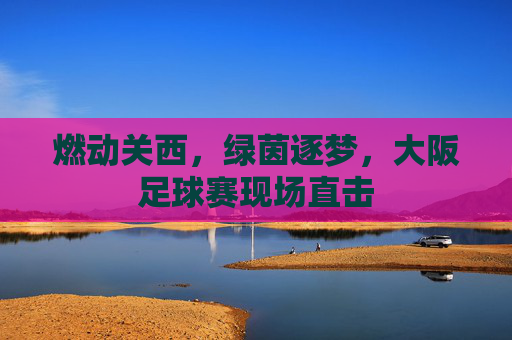 燃动关西，绿茵逐梦，大阪足球赛现场直击